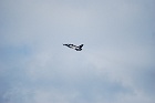 L-159 ALCA - Szlovákia